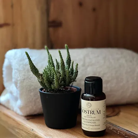 My Place * Néoi Epivátai